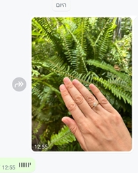 תמונת פרופיל של נועה ק׳